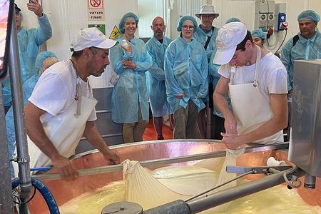 Parmesan Cheese and Balsamic Vinegar Tour with Ferrari Museum