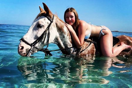 Swimming by Horse 3 Hours ,Beach, Desert, transfer - Hurghada