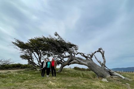 Tour Adventure Puerto Almanza Nature Delights of the Beagle