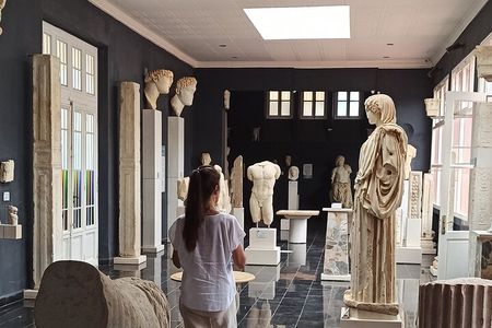 Explore the Ruins of Tipaza and Cherchell