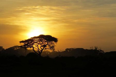 From Cape Town Aquilla sunset safari With All Inclusive
