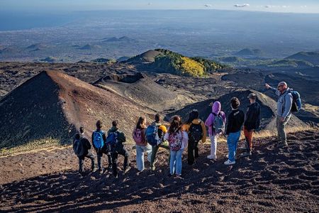 Mount Etna Morning Tour from Catania