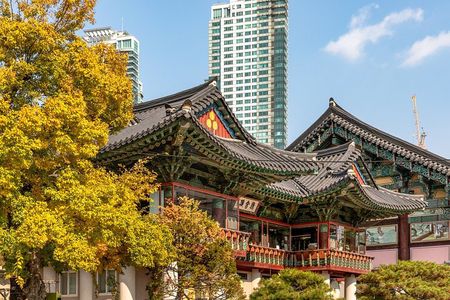 Seoul Gangnam Night Tour with Gourmet and Bongeunsa Temple