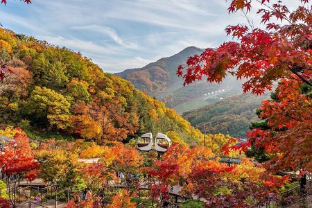 Hwadam Botanic Garden and Namhansanseong and Folk Village Trip