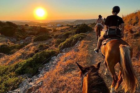 Golden Hour Gallop: Evening Ride in Paros