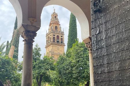 Cordoba Highlights Private Walking Tour