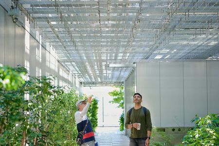 Small-Group Architecture Tour in Ginza, Tokyo