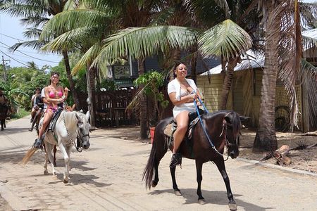 Roatan Horseback Ride, Wildlife Sanctuary & Reef Snorkel by Boat