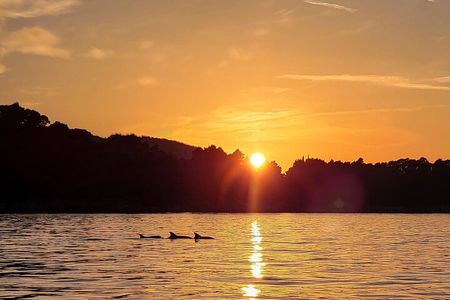 Dubrovnik Romantic Sunset Boat Tour