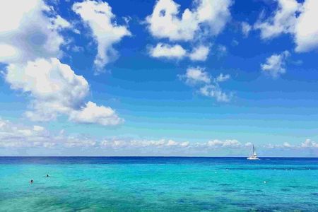Cozumel Island Tour: Mayan Ruins, Reefs, and Beach Escape