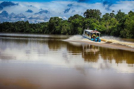  Kinabatangan River 2-Day Minibus and Boat Sharing Tour