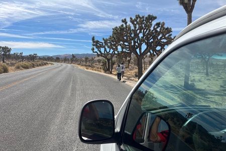 Private Sightseeing & Adventure tour of Joshua Tree National Park