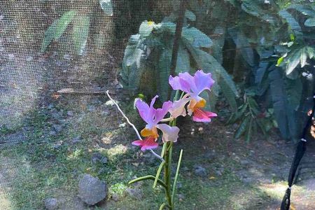 Best Sightseeing Tour 