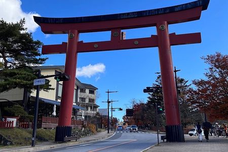 Nikko Full Day Customize Private tour