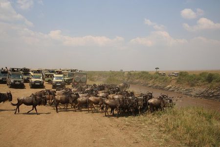 Masai Mara 3Days Safari Adventure