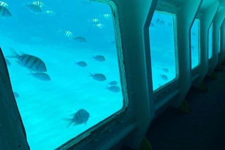 Private Tour on Roatan with a Professional Guide