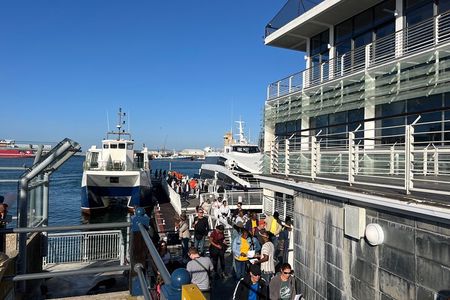 Robben Island Ticket + Former Prisoner Guide