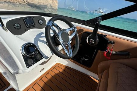 Private Speedboat swimming and Dolphin Watching in Hurghada