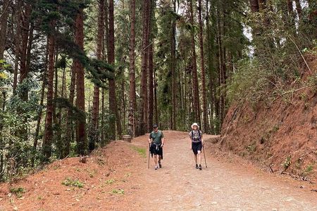 Private Tour with Guide in Salento and Cocora Valley with Lunch 
