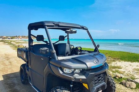 Aruba Rental Explore On Your Own