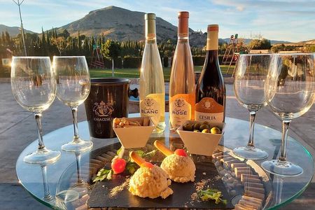 Guided Tour Of An Old Winery with Tasting from Alicante and Elche