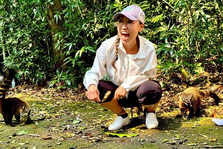 Tijuca Forest: Tour with Waterfalls and Caves