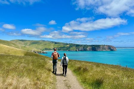 Full Day Guided Walking Tour and Picnic around Godley Head