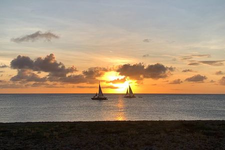 Aruba Private Island tour A/C Van