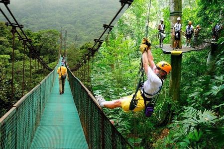  Rainforest Skywalk & Zipline Adventure Tour