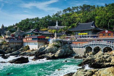 Authentic Busan Full-Day City Highlights Tour