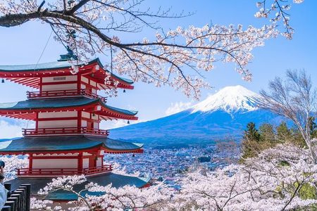 Mount Fuji Day Trip from Tokyo with Scenic Views