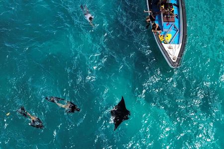 Nusa Penida Private Snorkeling and Land Tour Start from Bali
