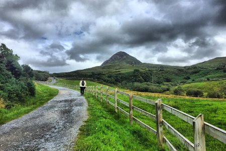 From Galway: Guided tour of Connemara with 3 hour stop at Connemara National Pk.
