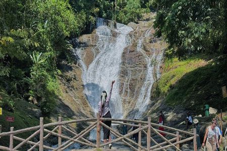 Cameron Highlands with Lunch Guided Day Tour (SIC/Shared Tour)