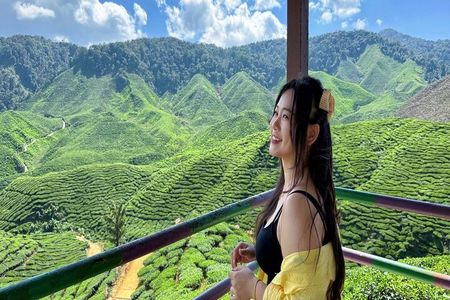 Cameron Highlands with Lunch Guided Day Tour (SIC/Shared Tour)