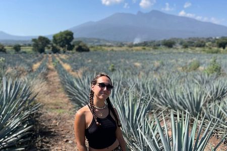 Full-Day Tour in Tequila factory and Cantaritos el Gúero