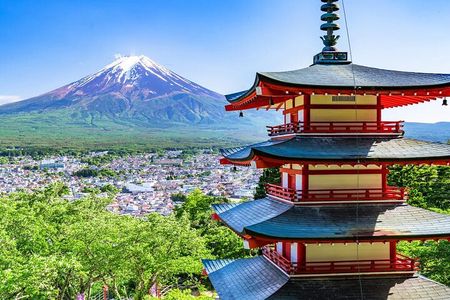 Mt Fuji Exploration Tour with Free Japanese Kusa Mochi from Tokyo