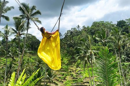 Explore Ubud Art Market, Monkey Forest and Rice Terraces