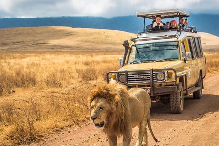 Hluhluwe Imfolozi Big 5 Game Reserve Tour from Durban