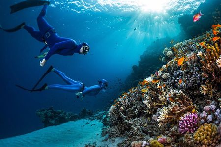 Hurghada Underwater Adventure: Full-Day Scuba Diving& Snorkeling 