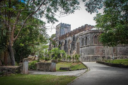 Barbados Highlights and Rum Tour