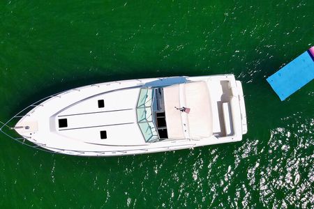 Private Yacht Rental Miami, Customizable Tours, Dolphin Watching