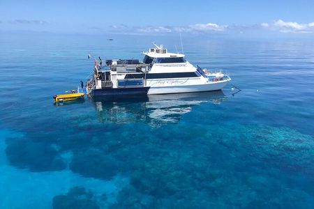 Cairns Value Outer Barrier Reef trip with Scuba Diving included