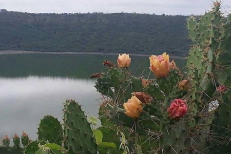 3-Day Private Journey to Ajanta, Ellora Caves, and Lonar Crater.