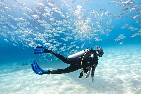 Diving Adventure at Ras Mohamed & White Island - Sharm El Sheikh