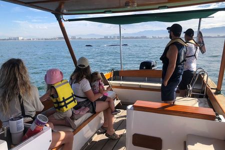 Premium Whale Watching Experience – 4 Hours in Vallarta