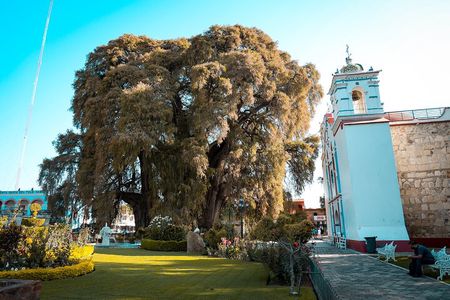 Tour Boil the "classic" water