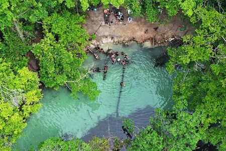Samana Half Day Countryside Adventure