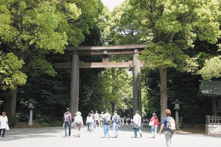 Tokyo Panoramic 1 Day: Meiji Shrine, Asakusa, Odaiba and SKYTREE®