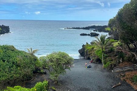 Small Group Full Day Road to Hana Adventure 